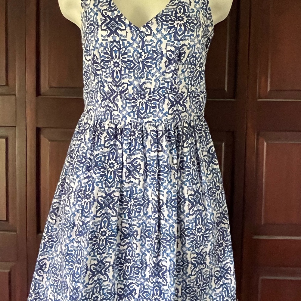 Blue and White Dress